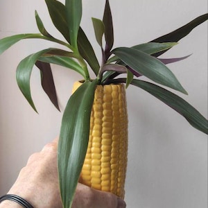 Könnte beinhalten: Eine gelbe Keramikvase in Form eines Maiskolbens mit grünen und violetten Blattpflanzen im Inneren.