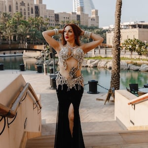Made to order belly dance costume , crystals sparkling bra belt skirt set belly dance,professional belly dance costume, performance costume