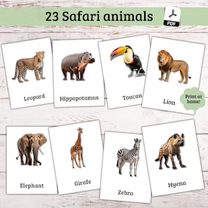 23 real picture Safari Animals Kids Printable Flashcards Educational Flashcards Animal Learning Cards Homeschool Supplies Kids Activity