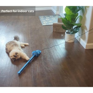 Perfect for indoor cats.