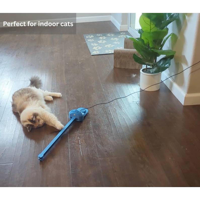 Perfect for indoor cats.