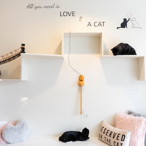 Op de afbeelding: Een wit wandgemonteerd kattenplankensysteem met een touwbrug, een hangend speeltje en muurstickers met de tekst All you need is LOVE & A CAT. De opstelling bevat meerdere niveaus voor katten en is voorzien van hartvormige kussens.