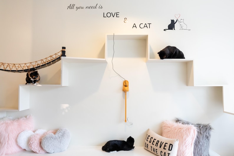 Op de afbeelding: Een wit wandgemonteerd kattenplankensysteem met een touwbrug, een hangend speeltje en muurstickers met de tekst All you need is LOVE & A CAT. De opstelling bevat meerdere niveaus voor katten en is voorzien van hartvormige kussens.