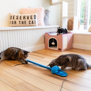 May include: Two tabby cats play with a blue toy mouse on a wooden floor. The toy mouse is attached to a string and is being pulled by one of the cats. The other cat is watching the toy mouse. There is a pink cat bed in the background.