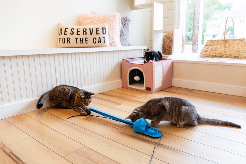 Two cats playing with the Sidewinder smart cat toy for indoor cats.