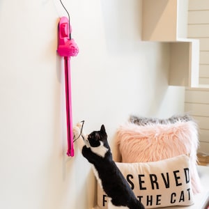 Può includere: Un gatto bianco e nero gioca con un giocattolo per gatti rosa montato su un muro. Il giocattolo ha un muso di gatto e una lunga corda retrattile. Il gatto è in piedi su una panca bianca con un cuscino che dice "Served by the cat".