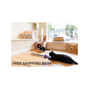 Free shipping $60+