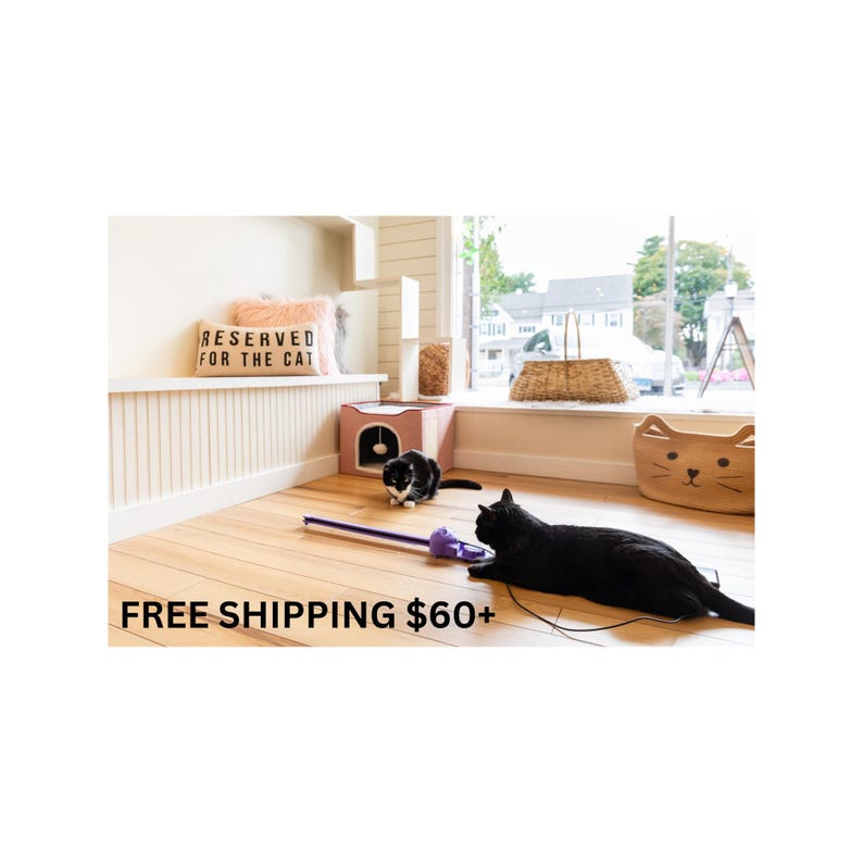 Free shipping $60+