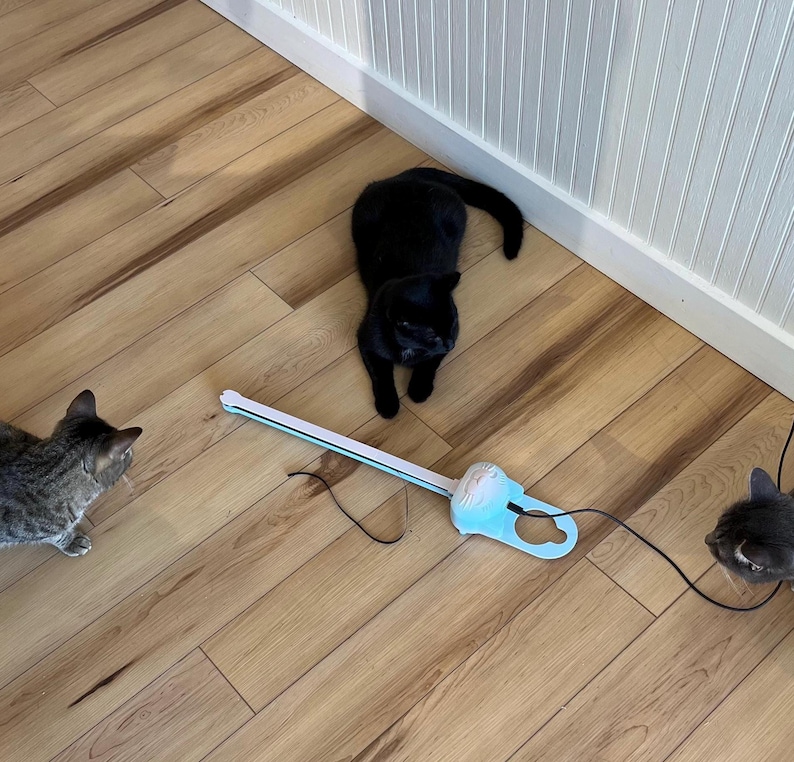 Three cats are playing with a cotton candy colored Sidewinder smart cat toy.  The location is at All the Single Kitties cat cafe in Old Saybrook, CT.