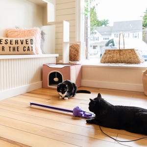 Two black cats playing with a purple Sidewinder smart cat toy on a light brown wood floor. There is a pillow that says 'Reserved for the cat.' The location is at All the Single Kitties cat cafe in Old Saybrook, CT.