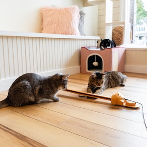 Sidewinder smart cat toy