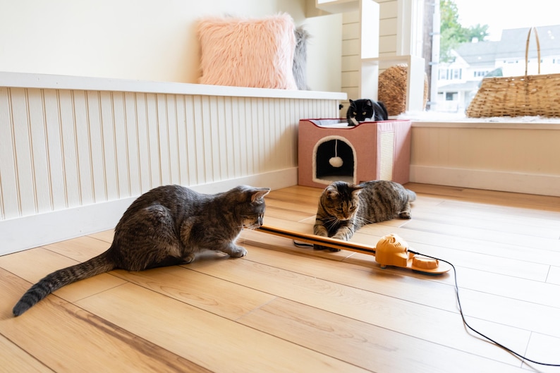 Sidewinder smart cat toy