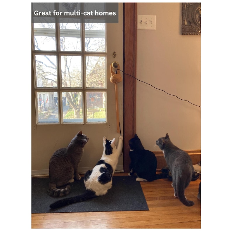 Op de afbeelding: Een lange, dunne, beige kattenspeeltje aan een stok hangt aan een deurklink. Het speeltje heeft een kleine, lichtgekleurde, ronde bevestiging aan de bovenkant. Vier katten in verschillende kleuren, waaronder grijs, zwart en wit, zijn verzameld.