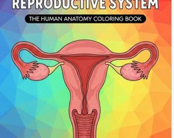 Sistema reproductor masculino y femenino: El libro para colorear de anatomía humana