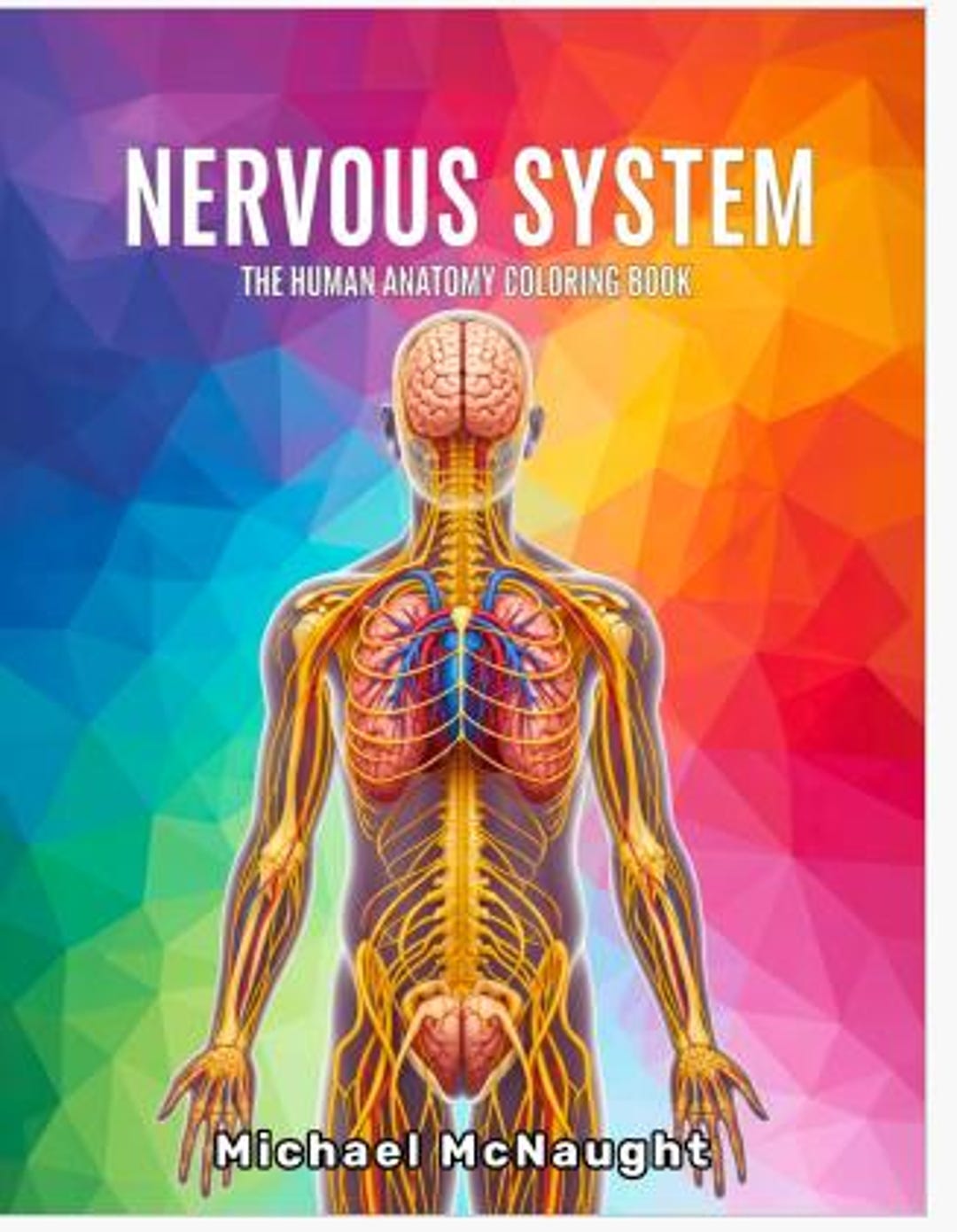 Nervous System: the Human Anatomy Coloring Book - Etsy