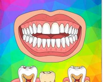 Dental Anatomy: The Human Anatomy Coloring Book