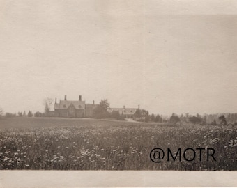 Found Photo "Field of Flowers" Original Vernacular Photo