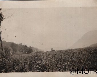 Found Photo "The View III" Original Vernacular Photo