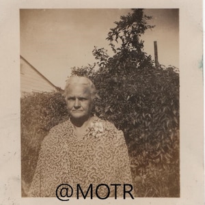 Found Photo Lost in the Pattern Vernacular Snapshot