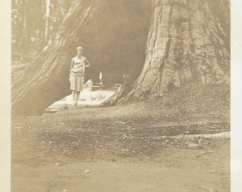 Vernacular Photo Flapper Girl Near Wawona Big Trees Yosemite Original Snapshot