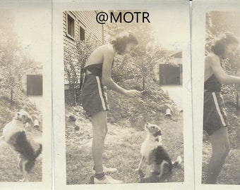 Found Photo Training Day for Sport the Dog Original Snapshots