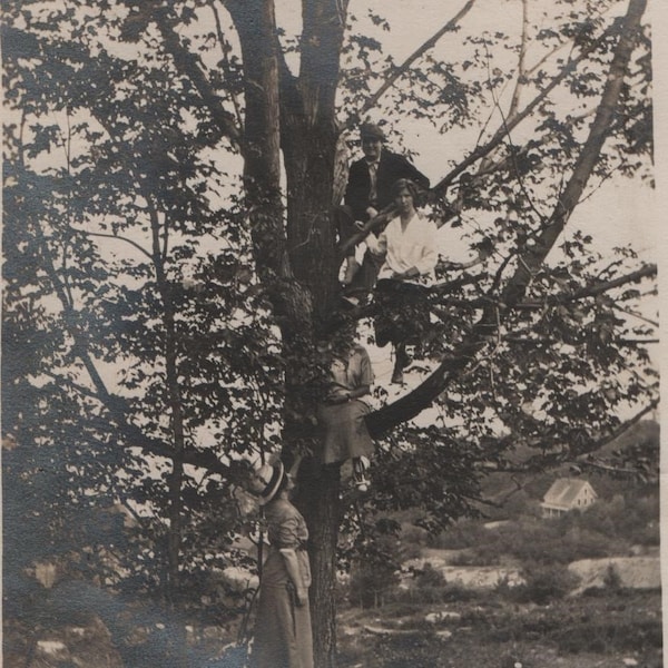 Found Photo "Up A Tree" Original Vintage Snapshot