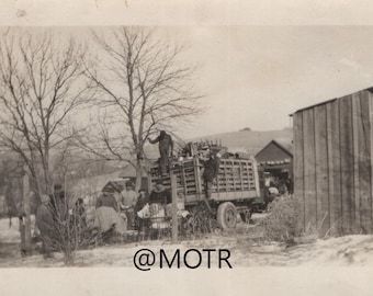 Vernacular Photo "Working Day" Original Snapshot