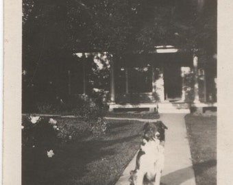 Vintage Photo "Patiently Waiting" Original Vernacular Snapshot