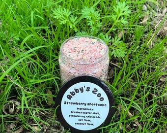 Strawberry Shortcake | Hermit crab food