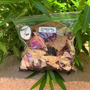 HUGE Hermit crab foraging mix