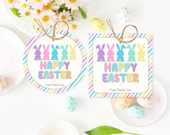 Easter Bunny Gift Tags Editable, Happy Easter Tags, Spring Gift Tags, Happy Easter Tags, Easter Bunny Tags, Easter Template Tags