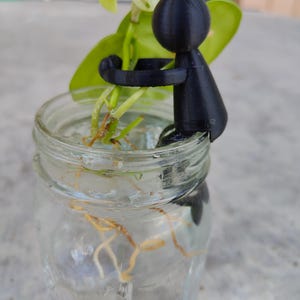 Peut inclure: Un bocal en verre transparent rempli d'eau, contenant une petite plante aux feuilles vertes et aux racines. Une figurine noire imprimée en 3D est posée sur le bord du bocal, comme pour tenir la plante. Les feuilles sont d'un vert vif.