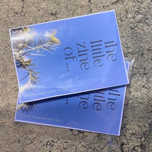 6 page poetry (A3 folded) ZINE with collage, photos and words by Meg
