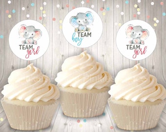 Gender Reveal Cupcake Toppers Team Boy Team Girl Elephant Cupcake Toppers Food Picks Set of 12