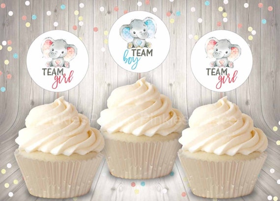 Gender Reveal Baby Shower Cupcake Toppers Digital Print at Home DIY SET of 12