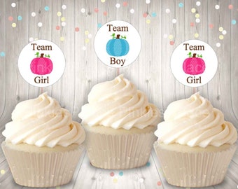 Gender Reveal, Fall, Cupcake Toppers, Team Girl, Team Boy, Pink, Blue, Pumpkins Food Picks, Set of 12