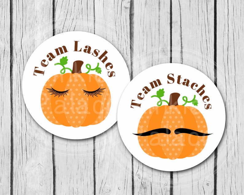 Gender Reveal Team Lashes Team Staches Pumpkins Stickers, Party Labels, Treat Bag Stickers image 1