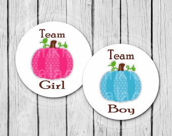 Gender Reveal Pumpkin Stickers Team Boy Team Girl Hot Pink Blue Envelope Seals