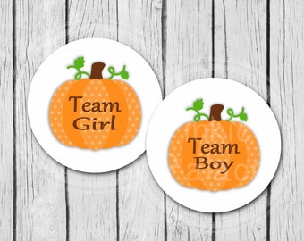 Pumpkin Gender Reveal Stickers Team Boy Team Girl Envelope Seals