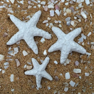 3 Starfish Tiles - White