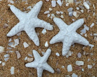 3 Starfish Tiles - White