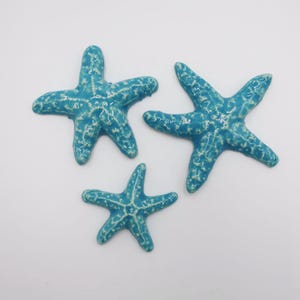 3 piastrelle a forma di stella marina - turchese