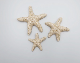 3 Azulejos de estrellas de mar - Blanco con motas
