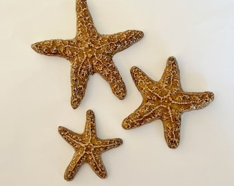 3 fichas de estrella de mar