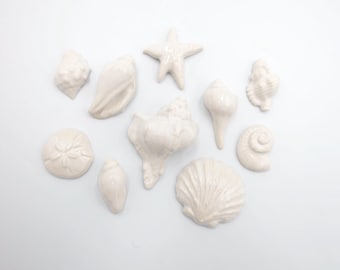 White Shell Set: Ocean Ceramic Mosaic Tiles