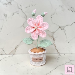 Crochet Tung Flower in Pot, Handmade Yarn Flower Decor, Custom Tag