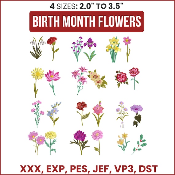Birth Month Flowers- Mega Bundle- 24 flowers 4 sizes- Modern Cute Birth Month Florals Digital Embroidery Machine,Botanical Embroidery Bundle