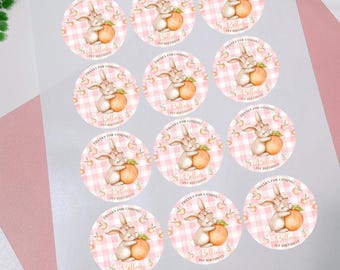 Sweet Peach Thank You Labels/Stickers/Round Stickers/Bunny Birthday Party