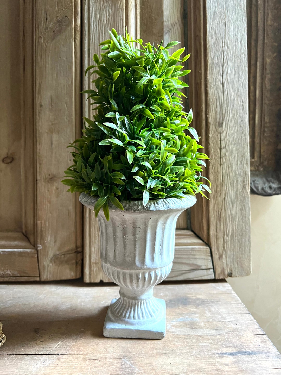 Faux Boxwood Cone Topiary in Concrete Classic Urn Etsy