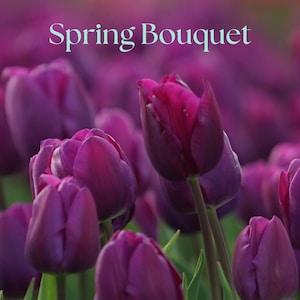 Spring Bouquet | Wax Melt | Scented Wax | Aromatherapy | Eco-Friendly | Long Lasting | Premium Wax | Tulip | Flower